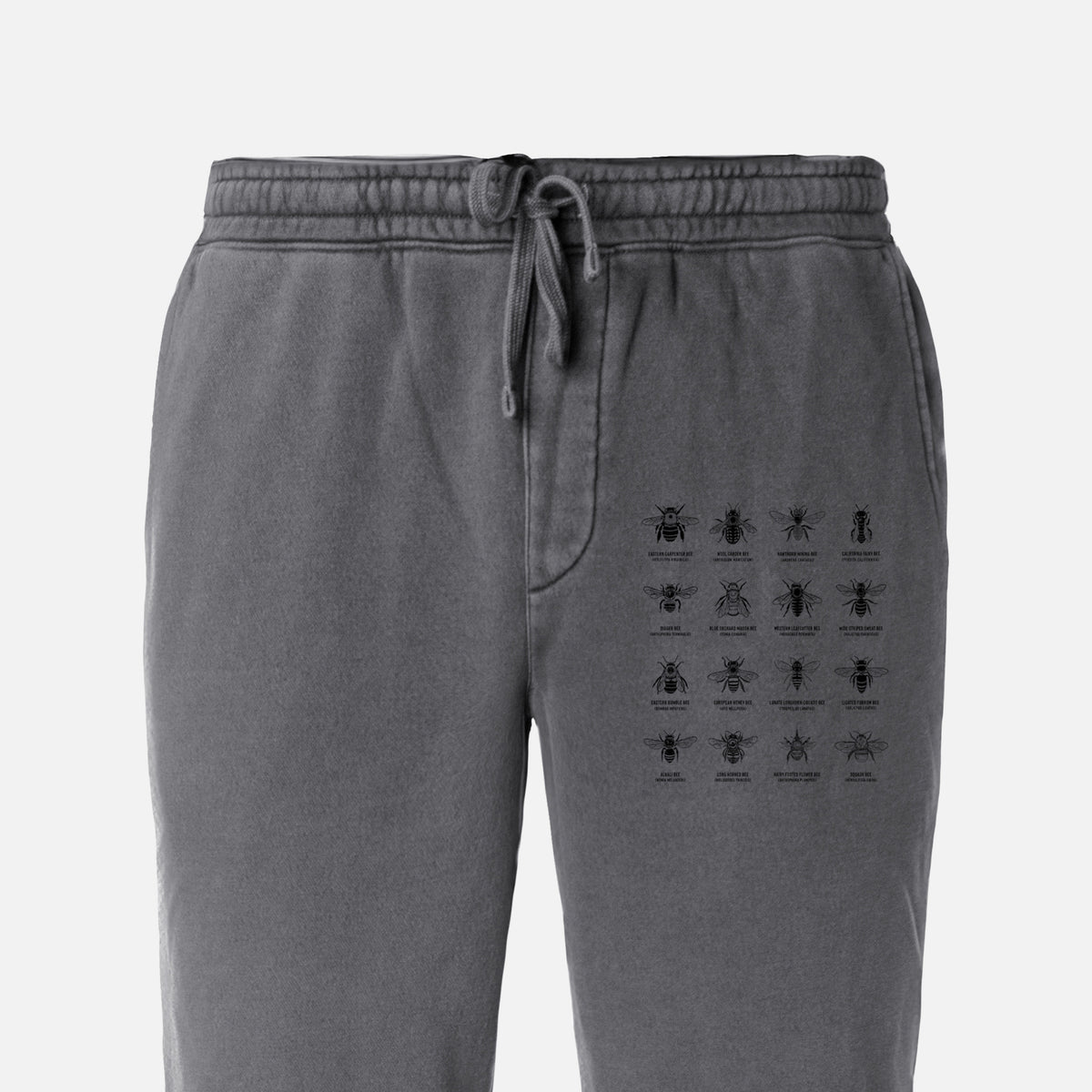 Bee Chart - Bees in North America - Unisex Pigment Dyed Sweatpants