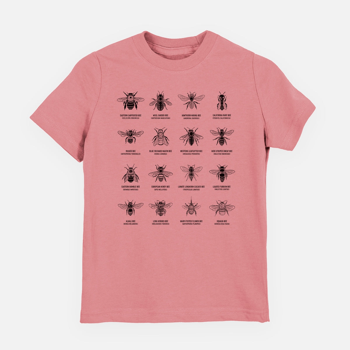 Bee Chart - Bees in North America - Youth Shirt