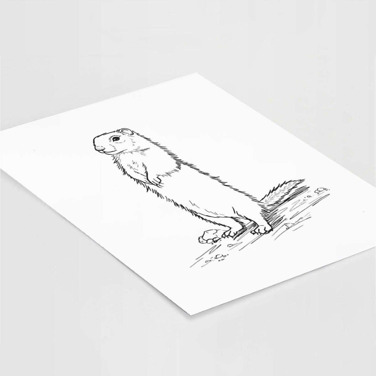 Belding&#39;s Ground Squirrel - Urocitellus beldingi - Fine Art Print