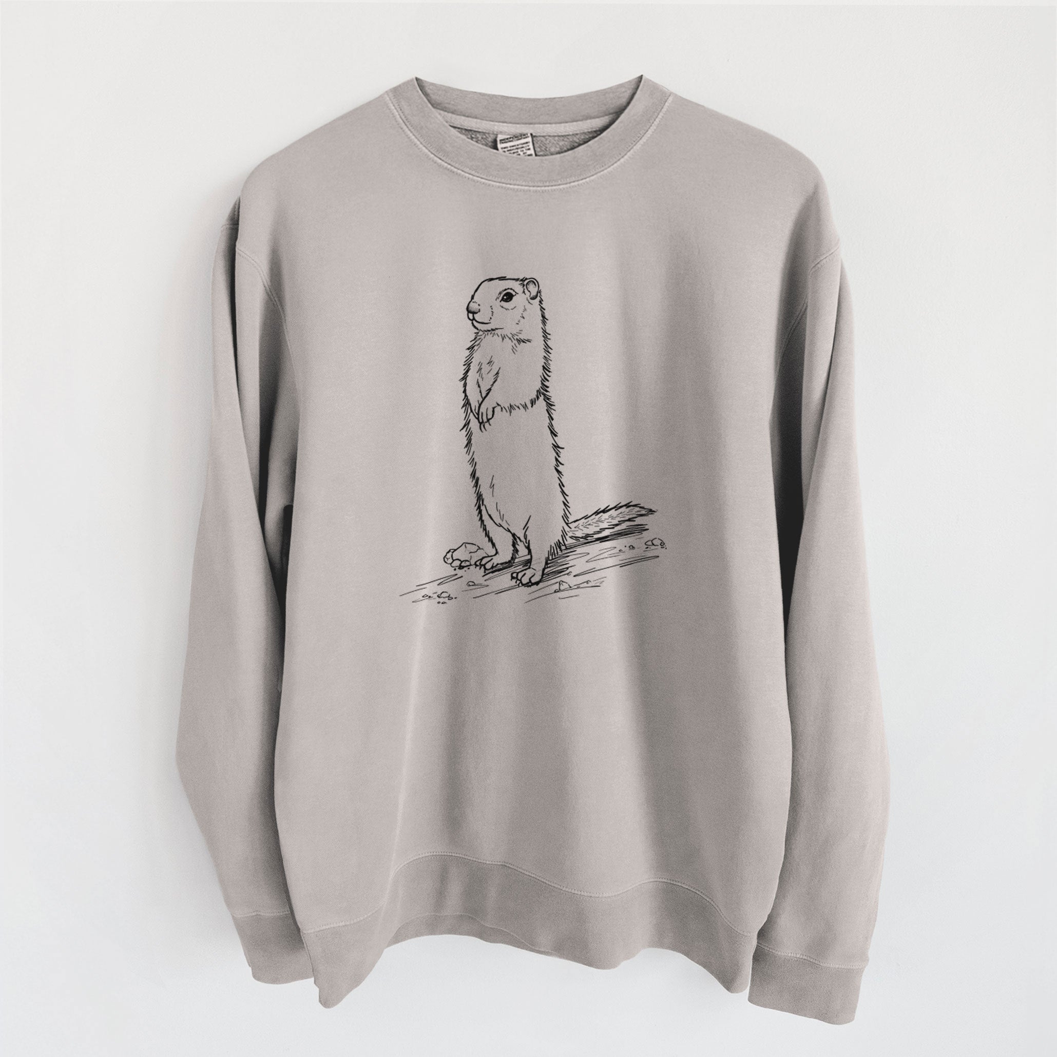 Belding's Ground Squirrel - Urocitellus beldingi - Unisex Pigment Dyed Crew Sweatshirt