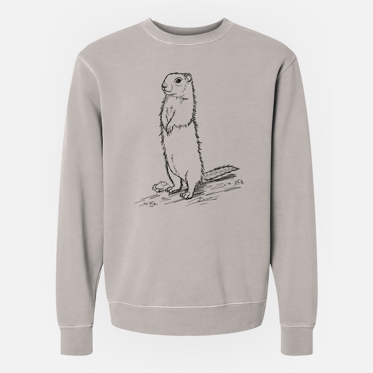 Belding&#39;s Ground Squirrel - Urocitellus beldingi - Unisex Pigment Dyed Crew Sweatshirt