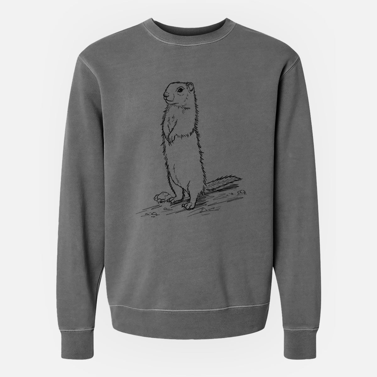 Belding&#39;s Ground Squirrel - Urocitellus beldingi - Unisex Pigment Dyed Crew Sweatshirt