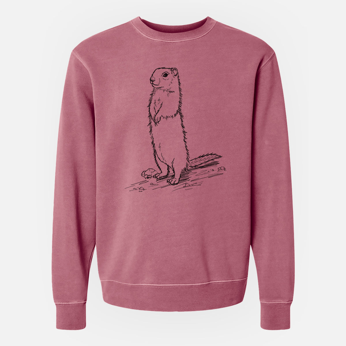Belding&#39;s Ground Squirrel - Urocitellus beldingi - Unisex Pigment Dyed Crew Sweatshirt