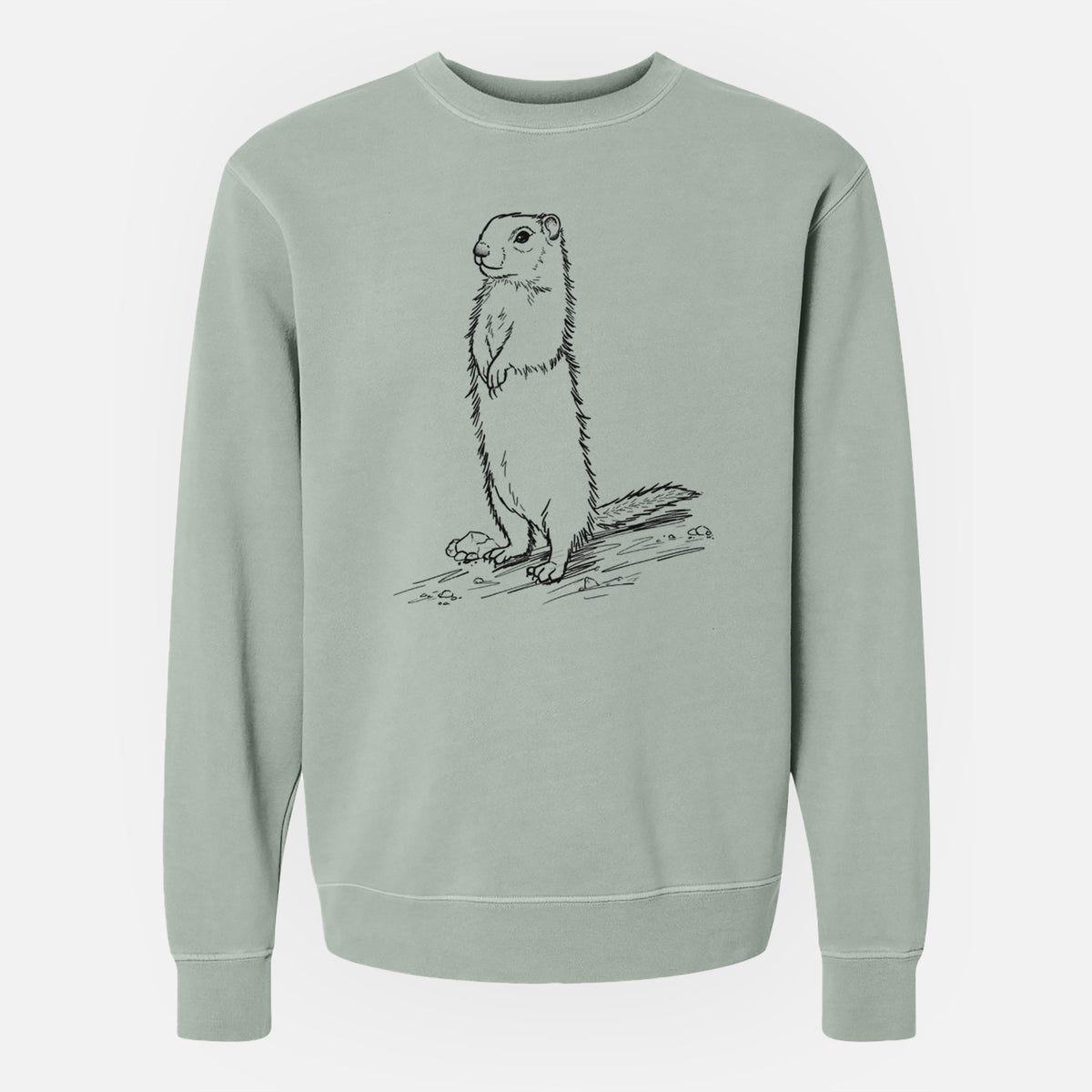 Belding&#39;s Ground Squirrel - Urocitellus beldingi - Unisex Pigment Dyed Crew Sweatshirt