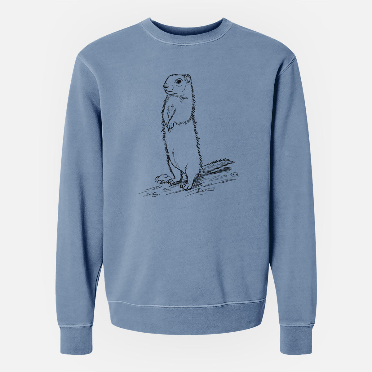 Belding&#39;s Ground Squirrel - Urocitellus beldingi - Unisex Pigment Dyed Crew Sweatshirt