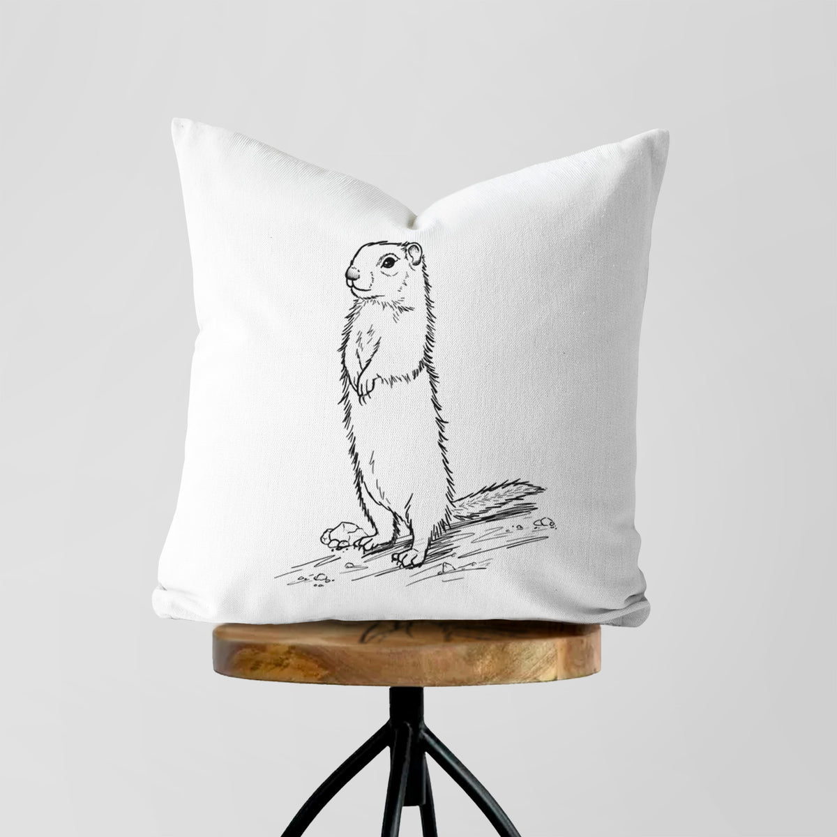 Belding&#39;s Ground Squirrel - Urocitellus beldingi - Throw Pillow Cover