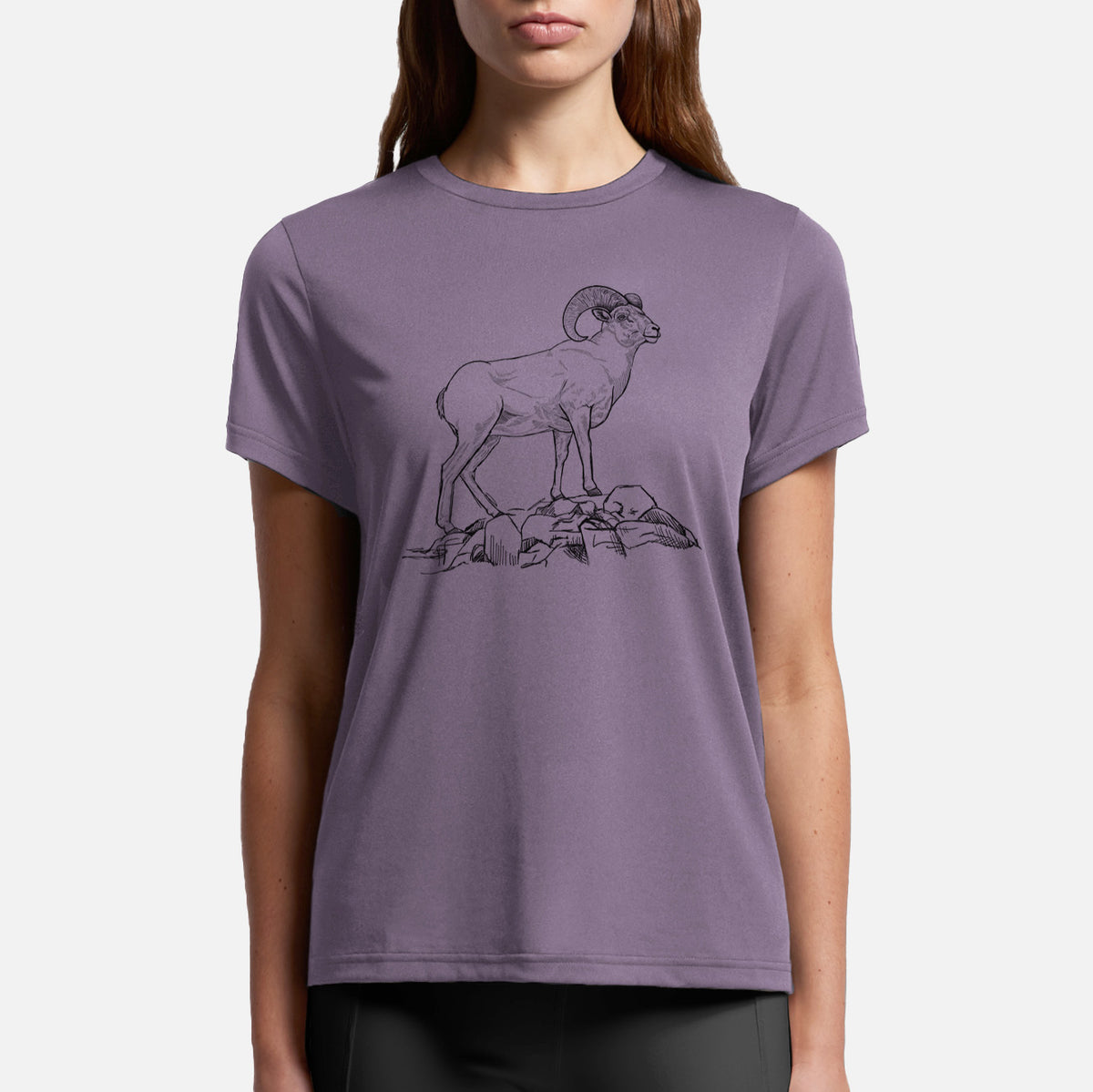 Bighorn Sheep Ram - Ovis canadensis - Womens Everyday Maple Tee