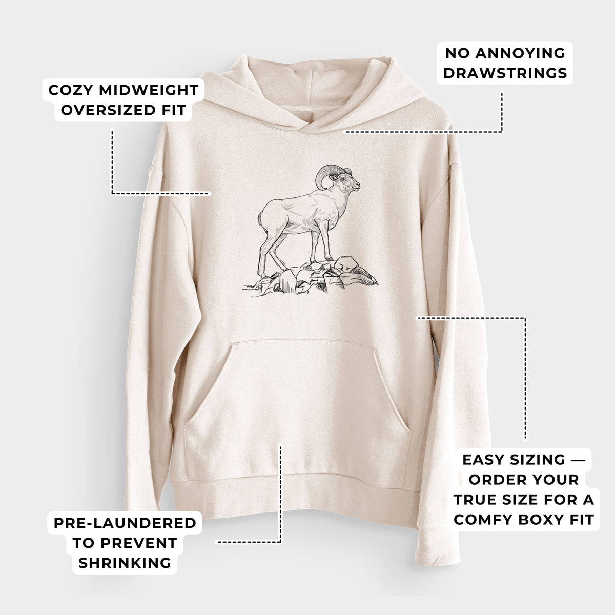 Bighorn Sheep Ram - Ovis canadensis  - Bodega Midweight Hoodie