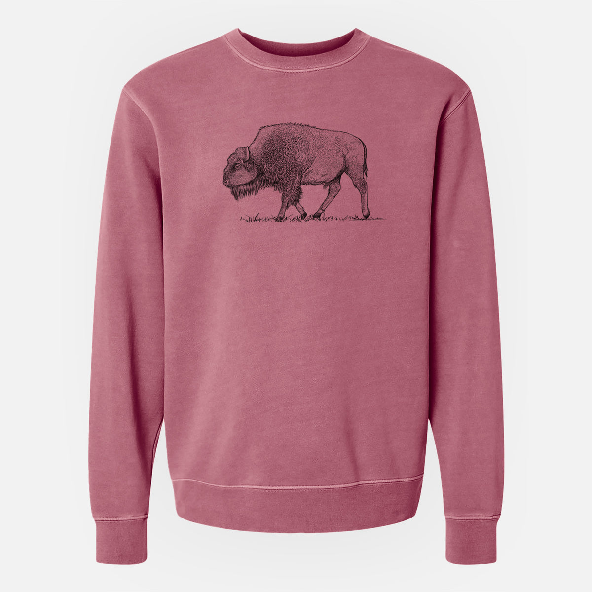 American Bison / Buffalo - Bison bison - Unisex Pigment Dyed Crew Sweatshirt