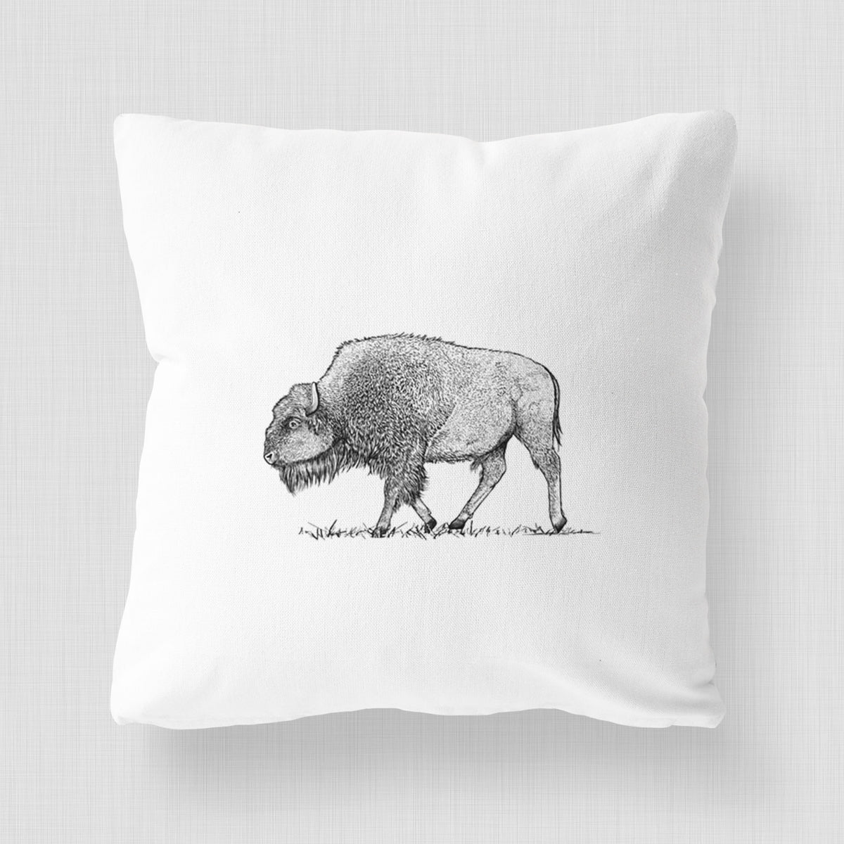 American Bison / Buffalo - Bison bison - Throw Pillow Cover