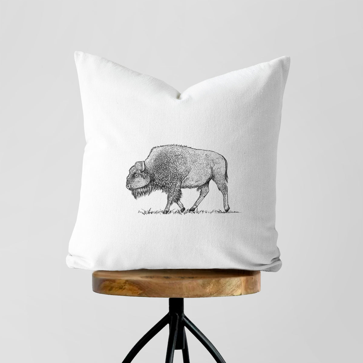 American Bison / Buffalo - Bison bison - Throw Pillow Cover