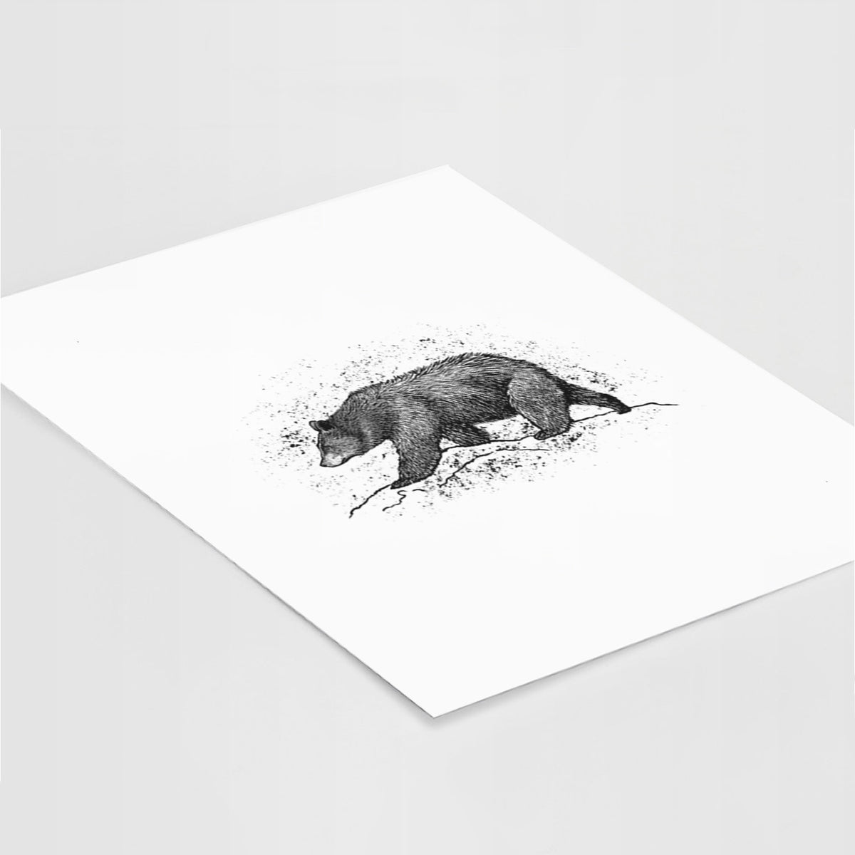 Black Bear - Fine Art Print