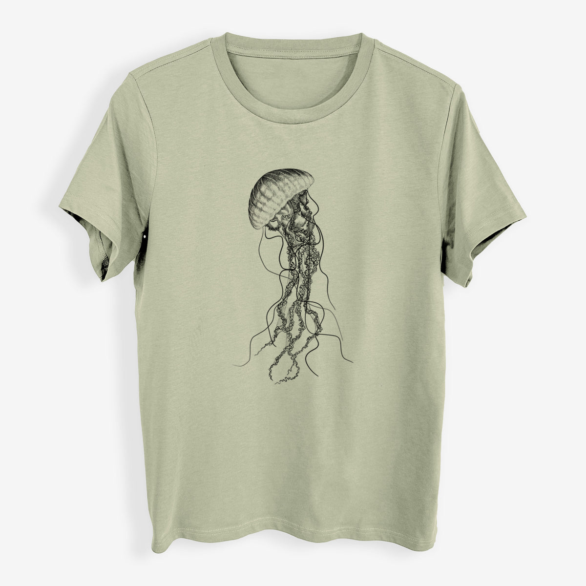 Black Sea Nettle Jellyfish - Chrysaora achlyos - Womens Everyday Maple Tee