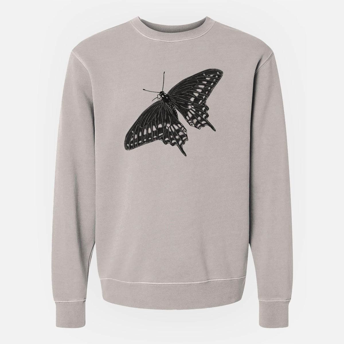 Black Swallowtail Butterfly - Papilio polyxenes - Unisex Pigment Dyed Crew Sweatshirt