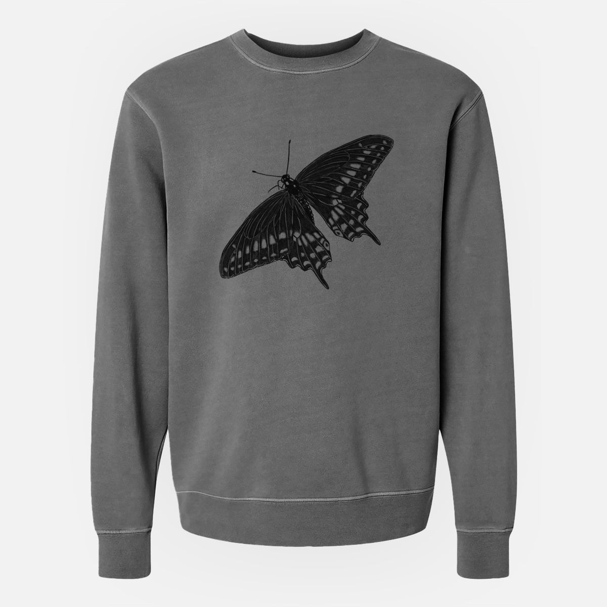 Black Swallowtail Butterfly - Papilio polyxenes - Unisex Pigment Dyed Crew Sweatshirt