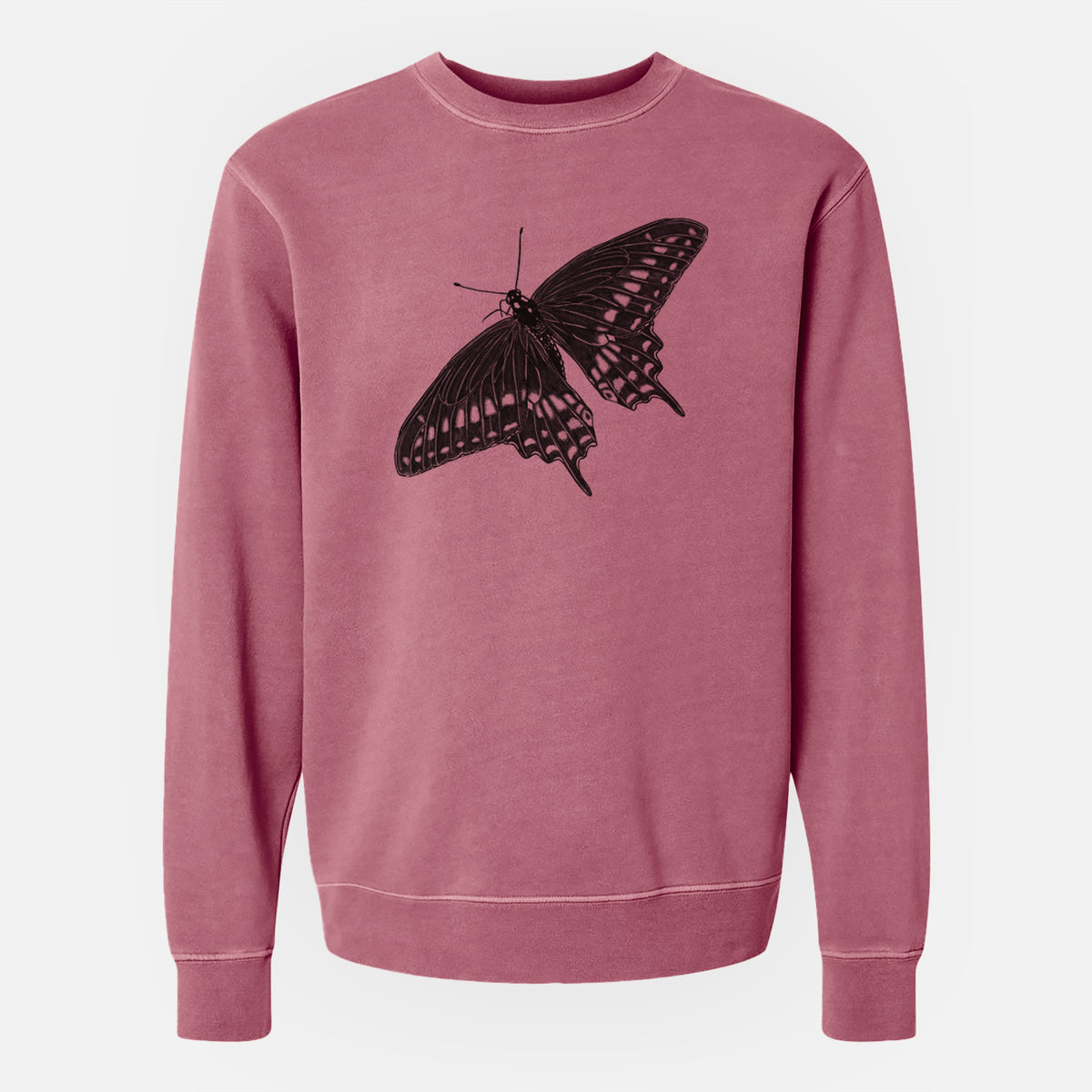 Black Swallowtail Butterfly - Papilio polyxenes - Unisex Pigment Dyed Crew Sweatshirt