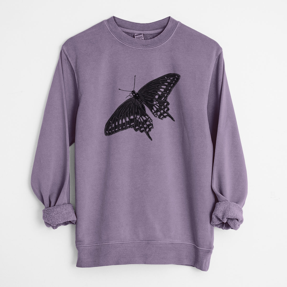 Black Swallowtail Butterfly - Papilio polyxenes - Unisex Pigment Dyed Crew Sweatshirt