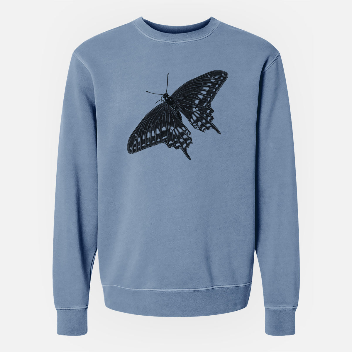 Black Swallowtail Butterfly - Papilio polyxenes - Unisex Pigment Dyed Crew Sweatshirt