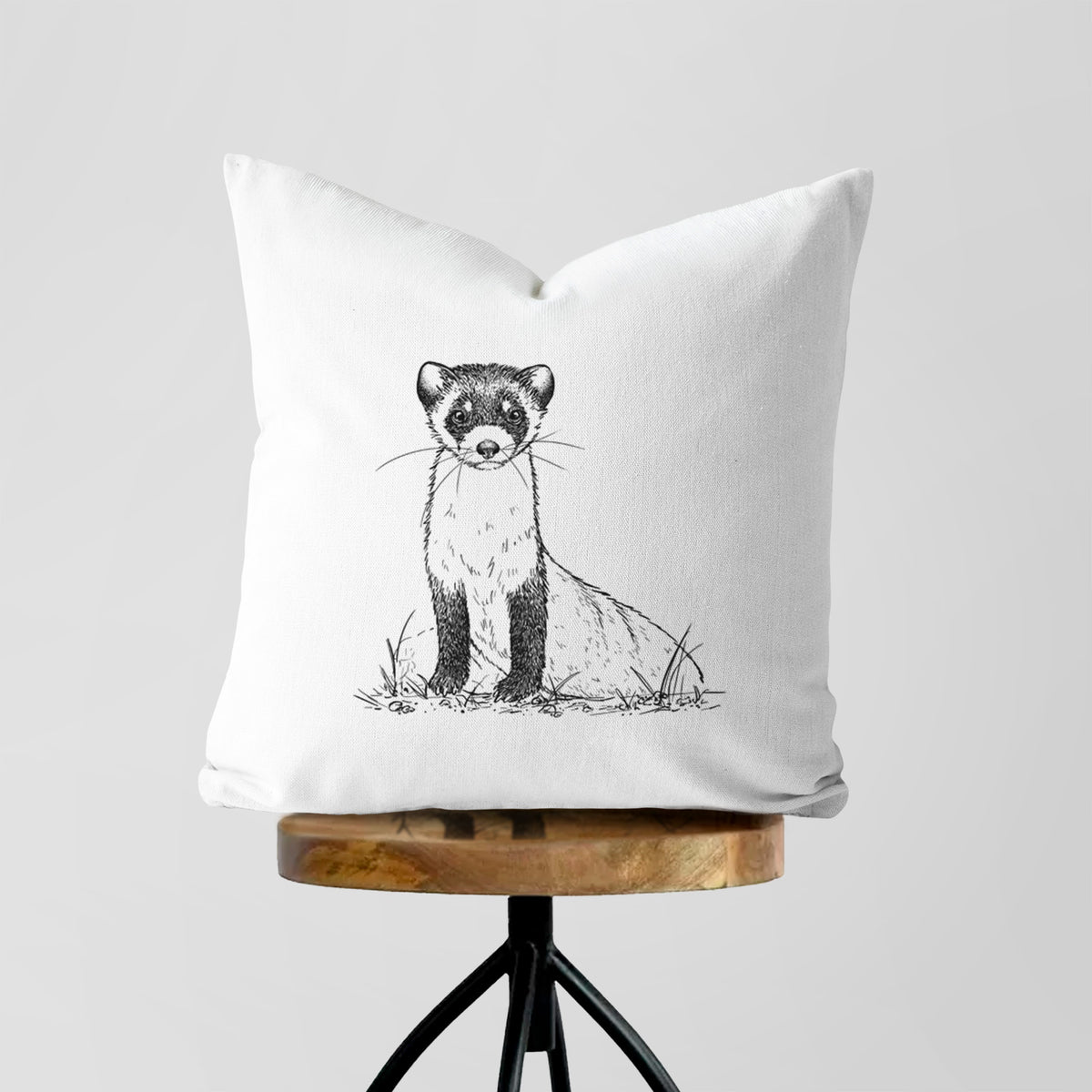 Black-footed Ferret - Mustela nigripes - Throw Pillow Cover