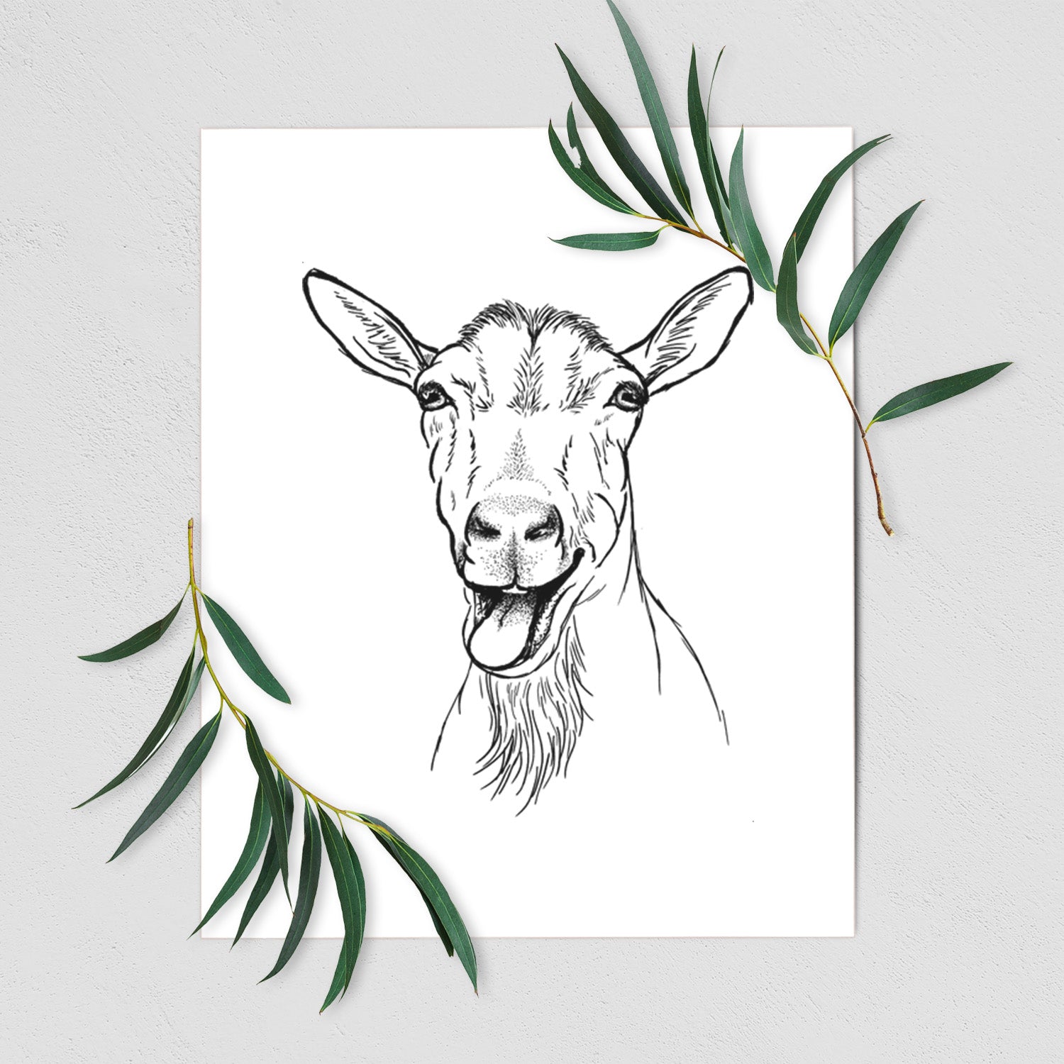 Bleating Goat - Fine Art Print