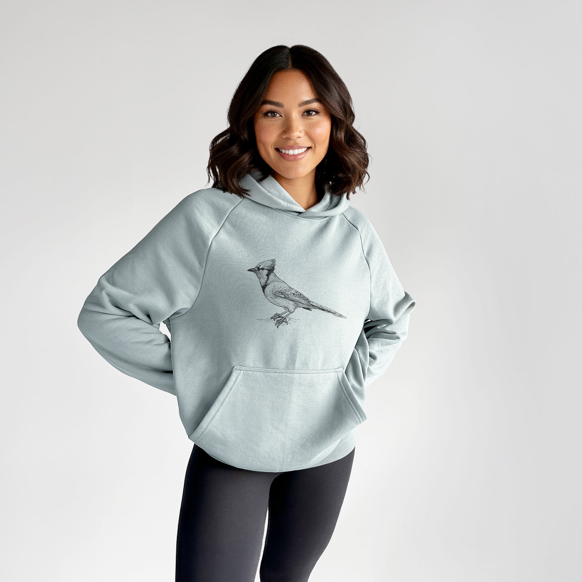 Blue Jay - Cyanocitta cristata - UltraLuxe Heavyweight French Terry Hoodie