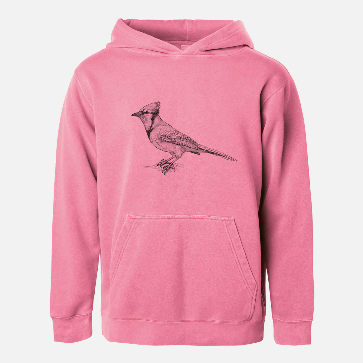 Blue Jay - Cyanocitta cristata - Youth Pigment Dyed Hoodie