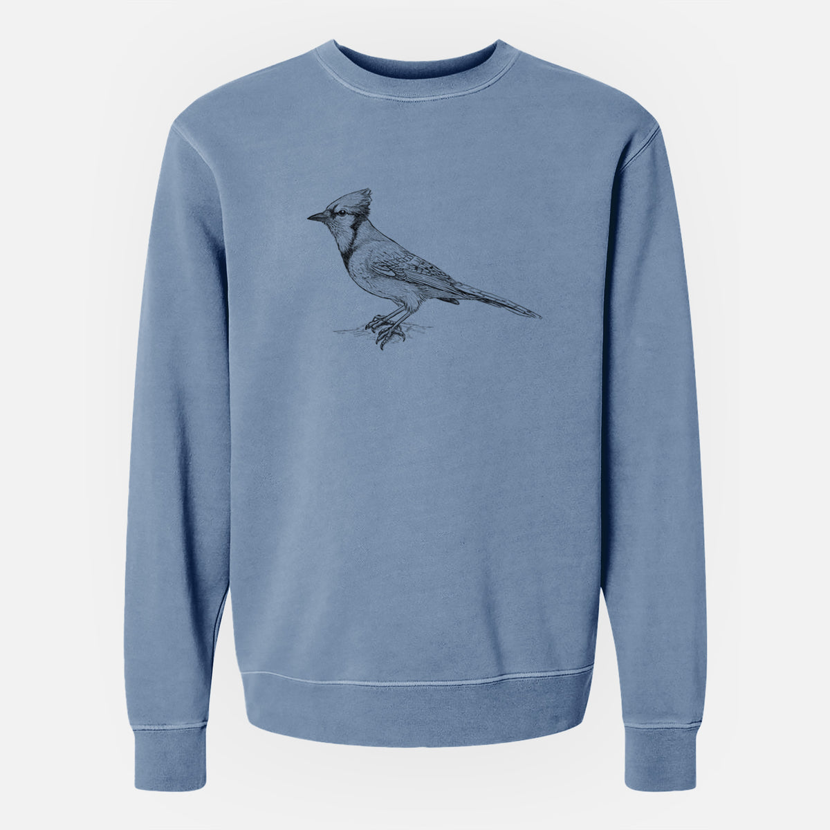 Blue Jay - Cyanocitta cristata - Unisex Pigment Dyed Crew Sweatshirt