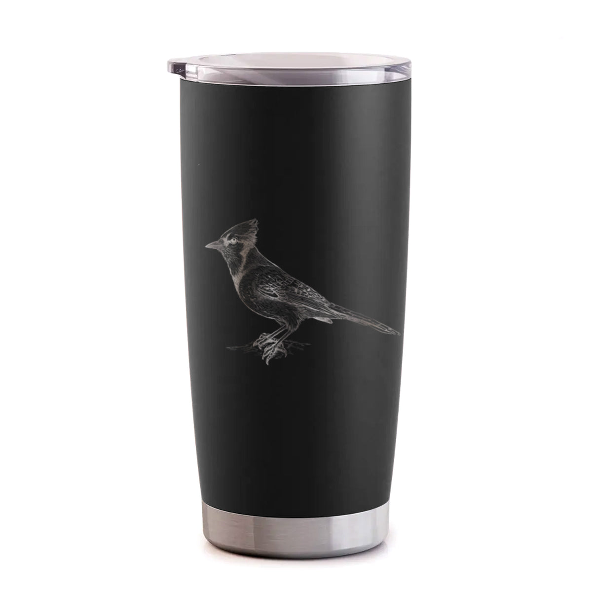 Blue Jay - Cyanocitta cristata - 20oz Polar Insulated Tumbler