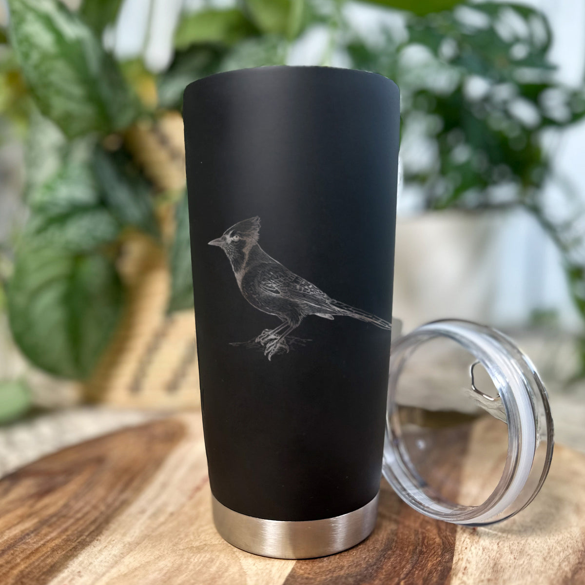 Blue Jay - Cyanocitta cristata - 20oz Polar Insulated Tumbler