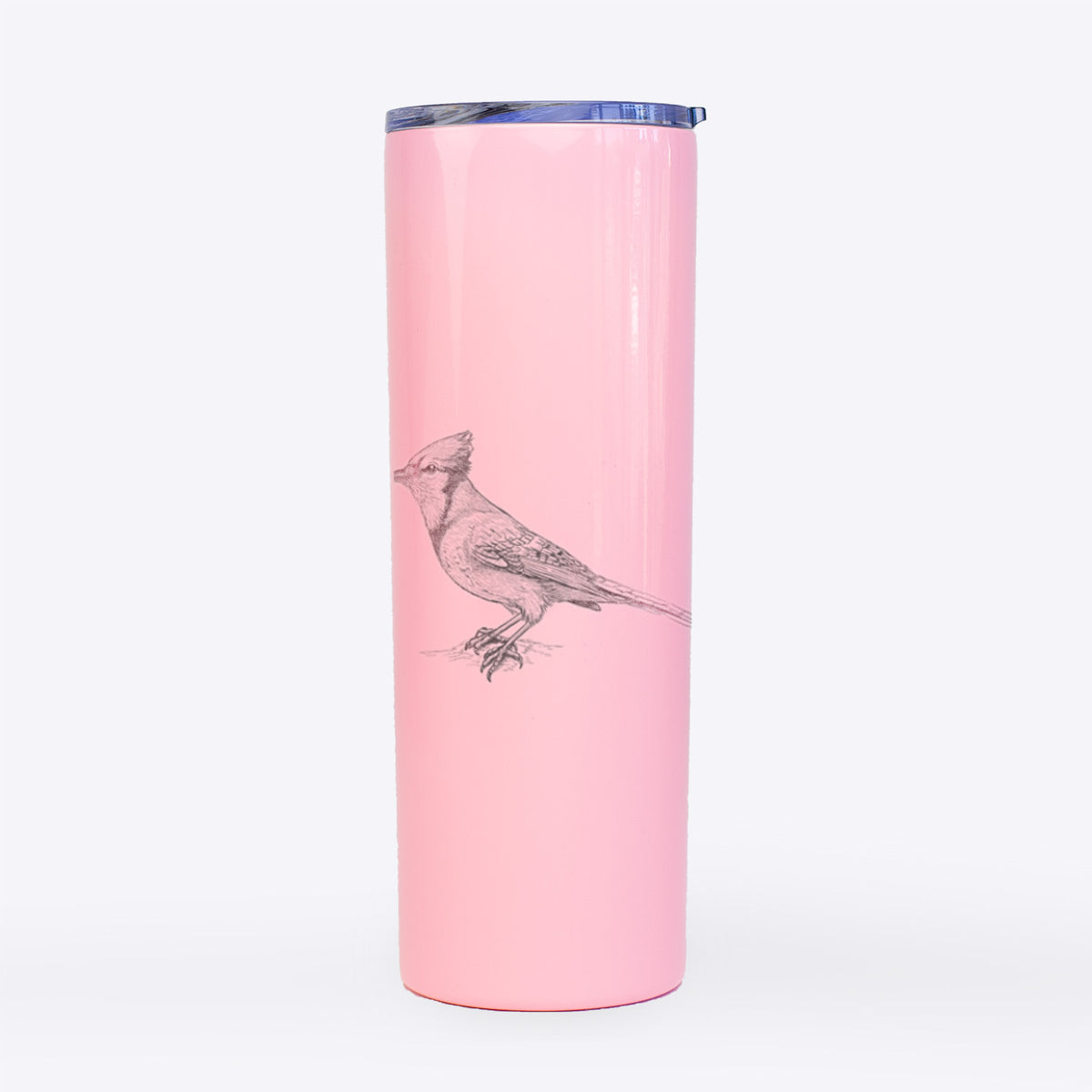 Blue Jay - Cyanocitta cristata - 20oz Skinny Tumbler