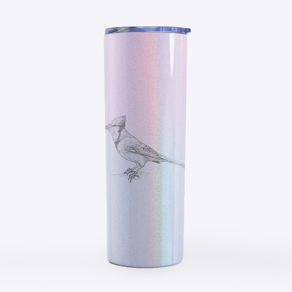 Blue Jay - Cyanocitta cristata - 20oz Skinny Tumbler