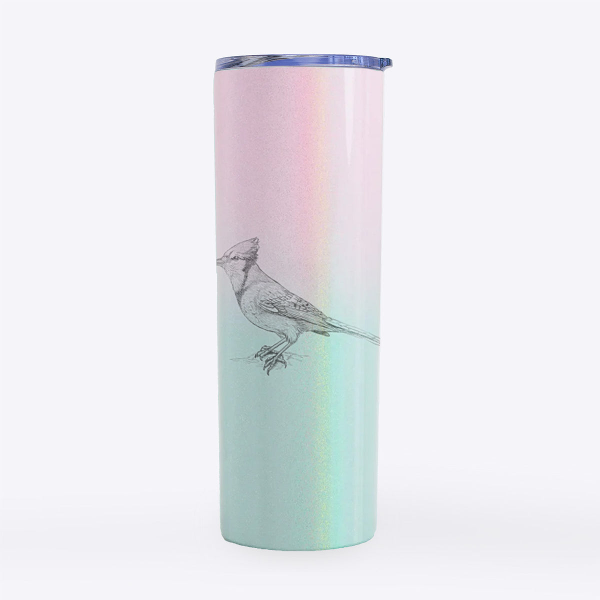 Blue Jay - Cyanocitta cristata - 20oz Skinny Tumbler