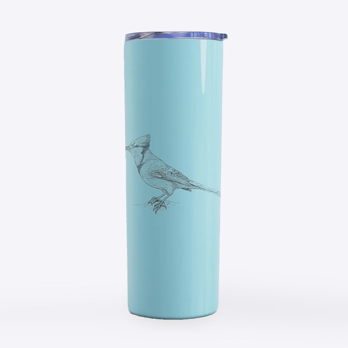 Blue Jay - Cyanocitta cristata - 20oz Skinny Tumbler