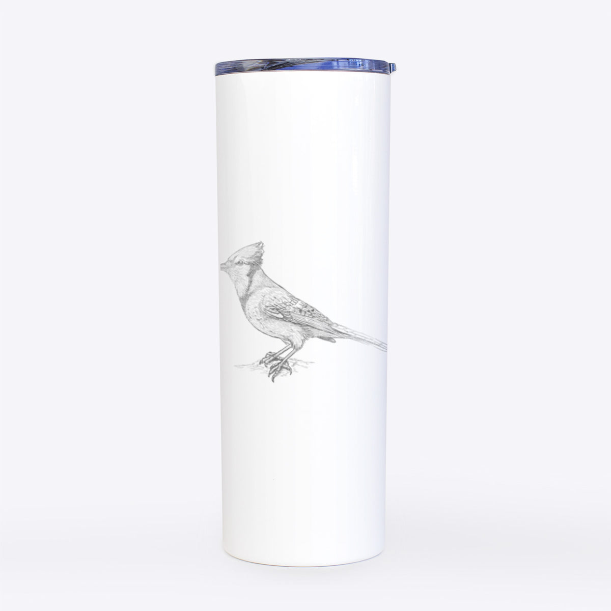 Blue Jay - Cyanocitta cristata - 20oz Skinny Tumbler