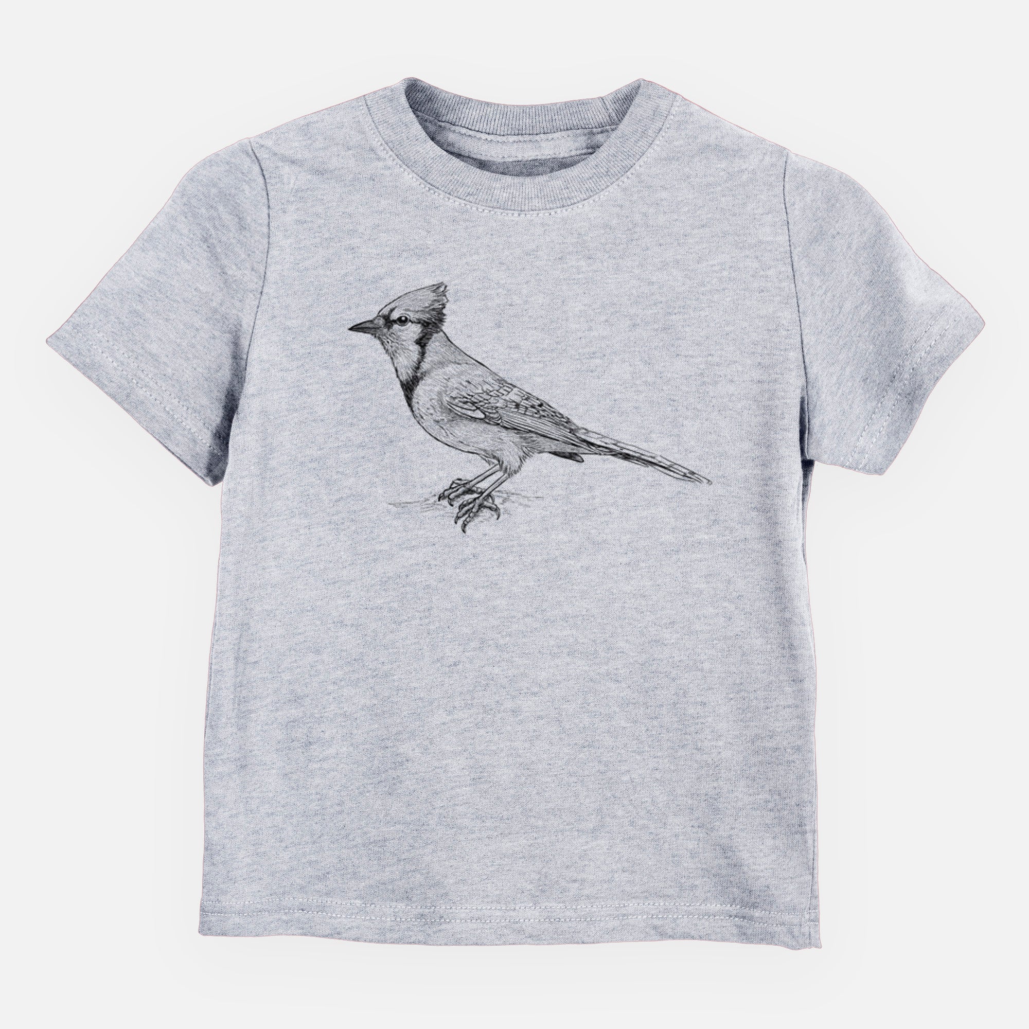 Blue Jay - Cyanocitta cristata - Toddler/Youth Shirt