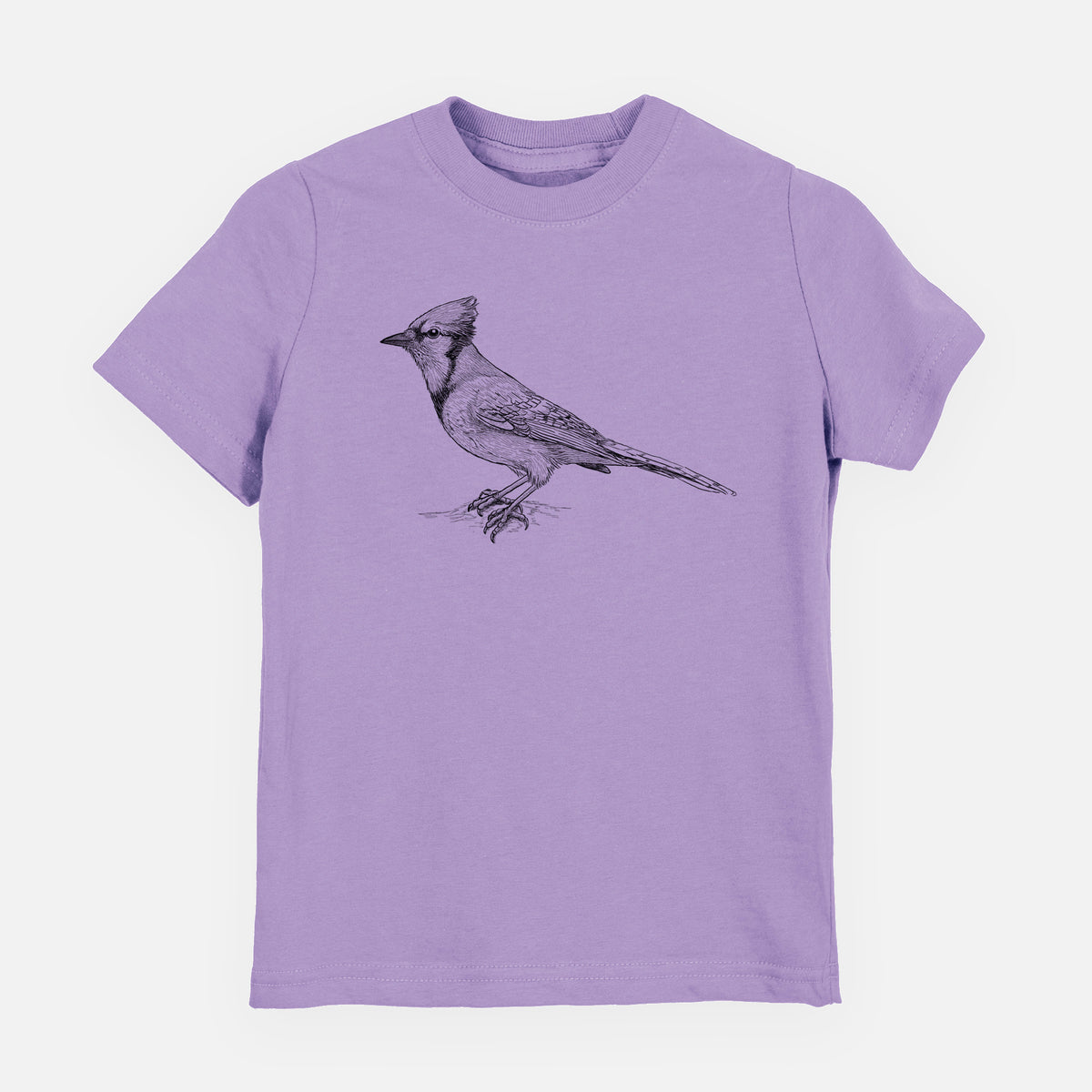 Blue Jay - Cyanocitta cristata - Youth Shirt