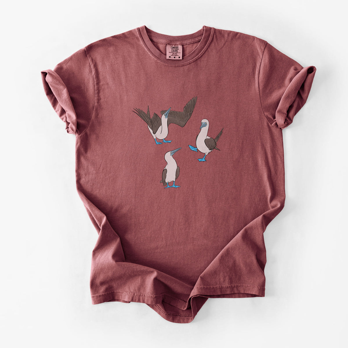 Blue-footed Booby Trio - Sula nebouxii - Unisex Comfort Colors Garment-Dyed Heavyweight T-shirt