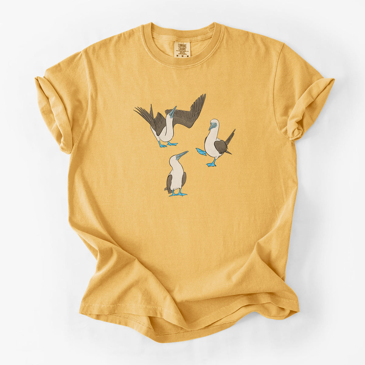 Blue-footed Booby Trio - Sula nebouxii - Unisex Comfort Colors Garment-Dyed Heavyweight T-shirt