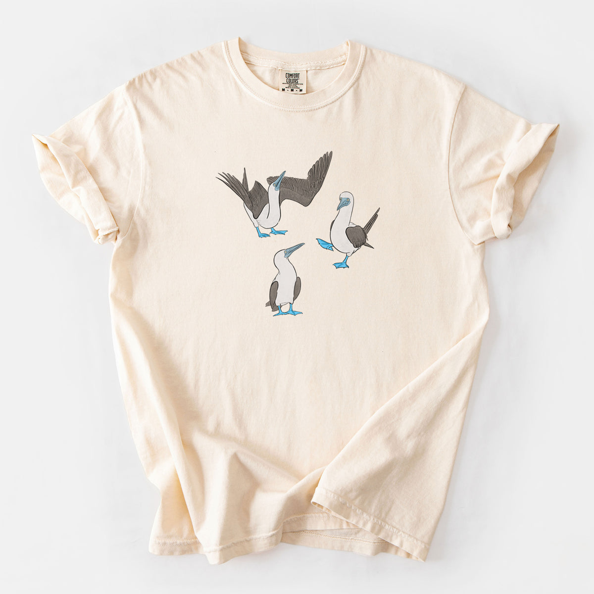 Blue-footed Booby Trio - Sula nebouxii - Unisex Comfort Colors Garment-Dyed Heavyweight T-shirt