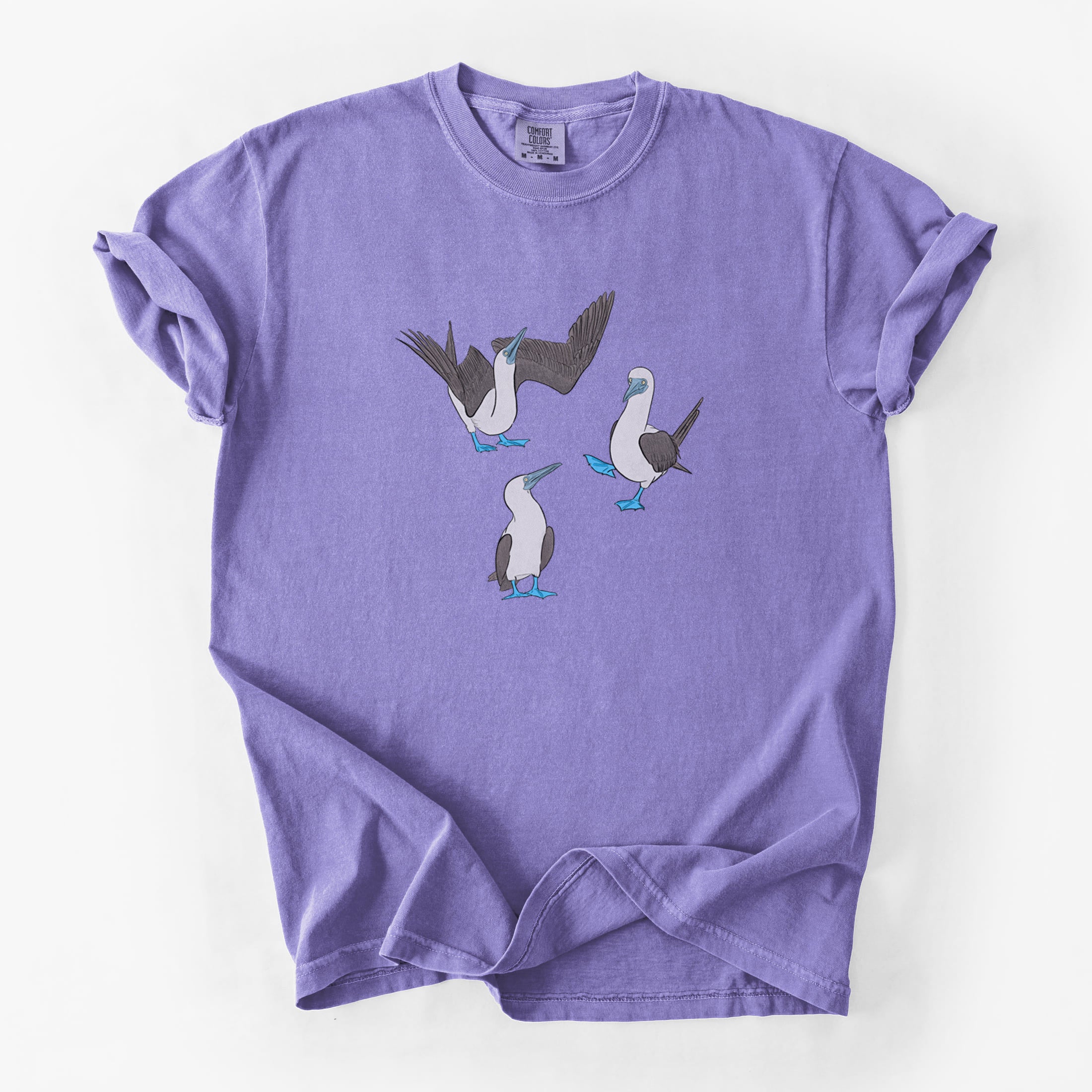 Blue-footed Booby Trio - Sula nebouxii - Unisex Comfort Colors Garment-Dyed Heavyweight T-shirt