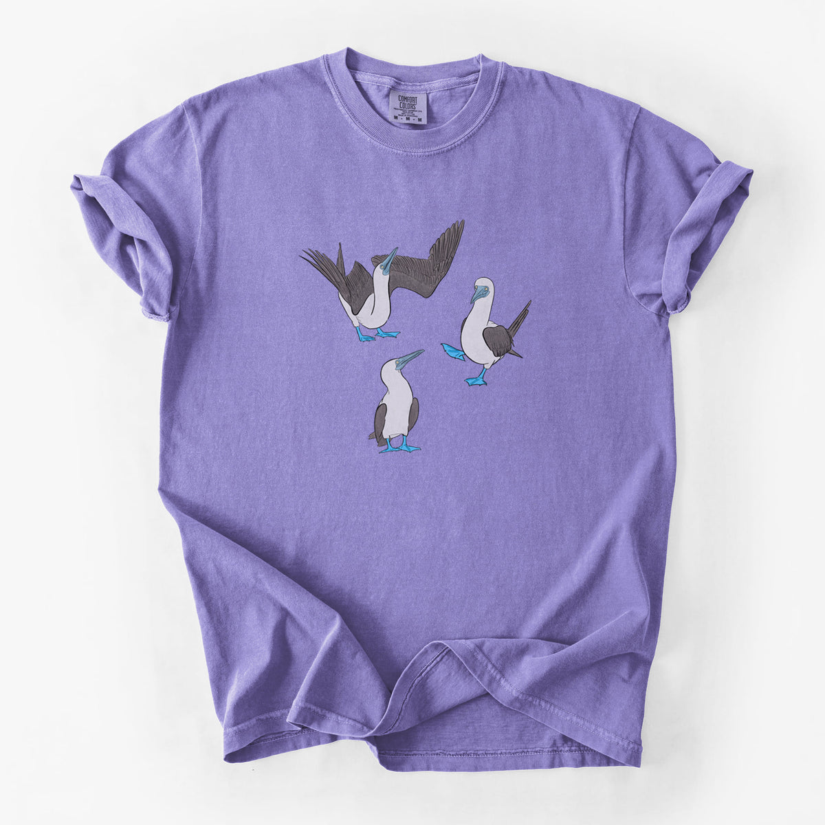 Blue-footed Booby Trio - Sula nebouxii - Unisex Comfort Colors Garment-Dyed Heavyweight T-shirt