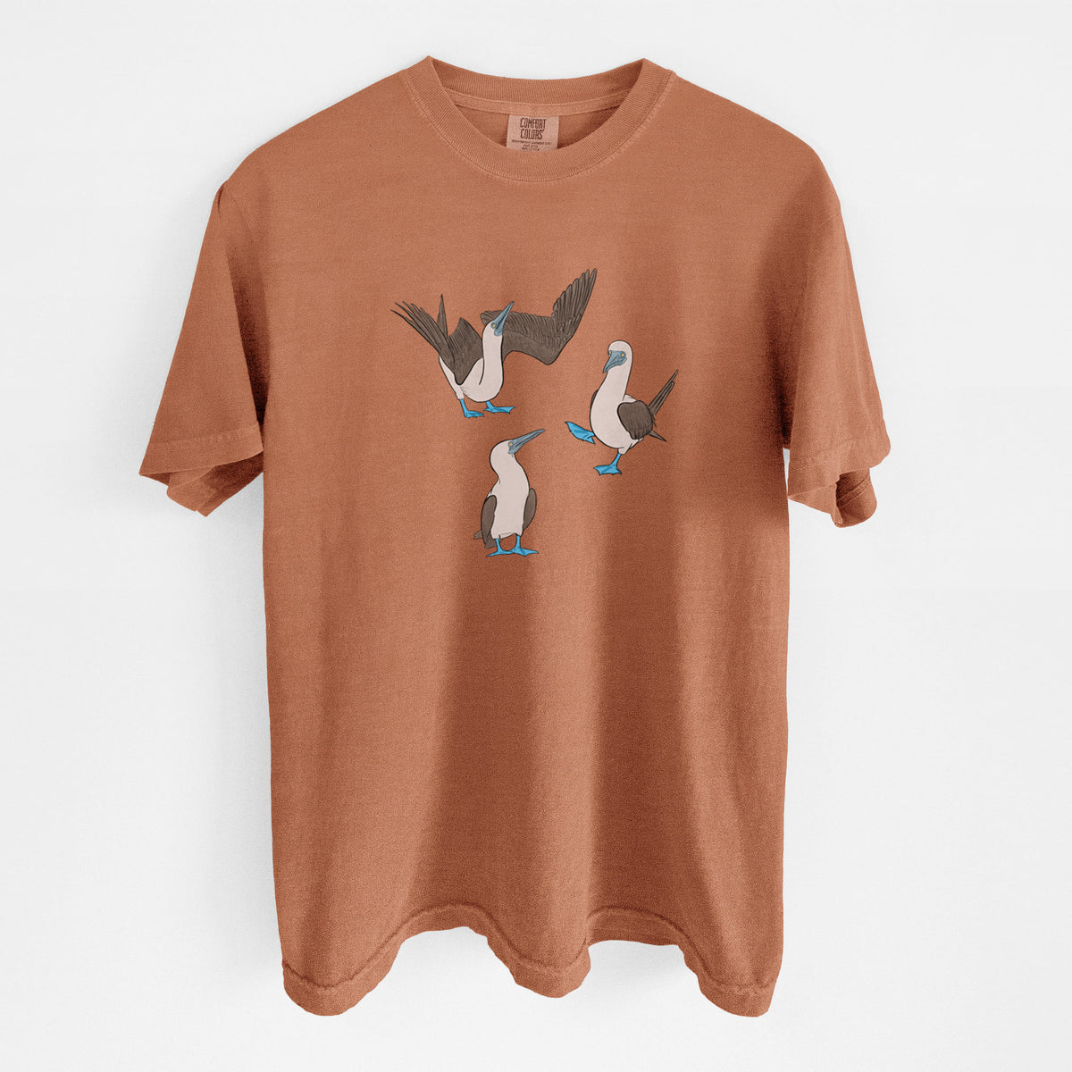Blue-footed Booby Trio - Sula nebouxii - Unisex Comfort Colors Garment-Dyed Heavyweight T-shirt