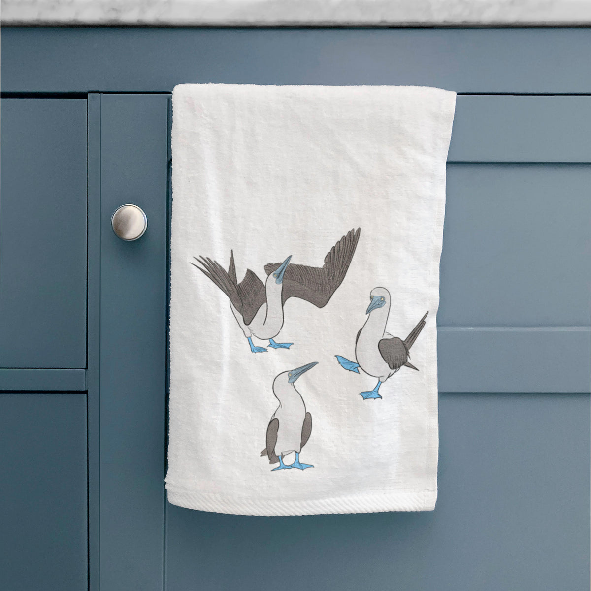Blue-footed Booby Trio - Sula nebouxii - Premium Hand Towel
