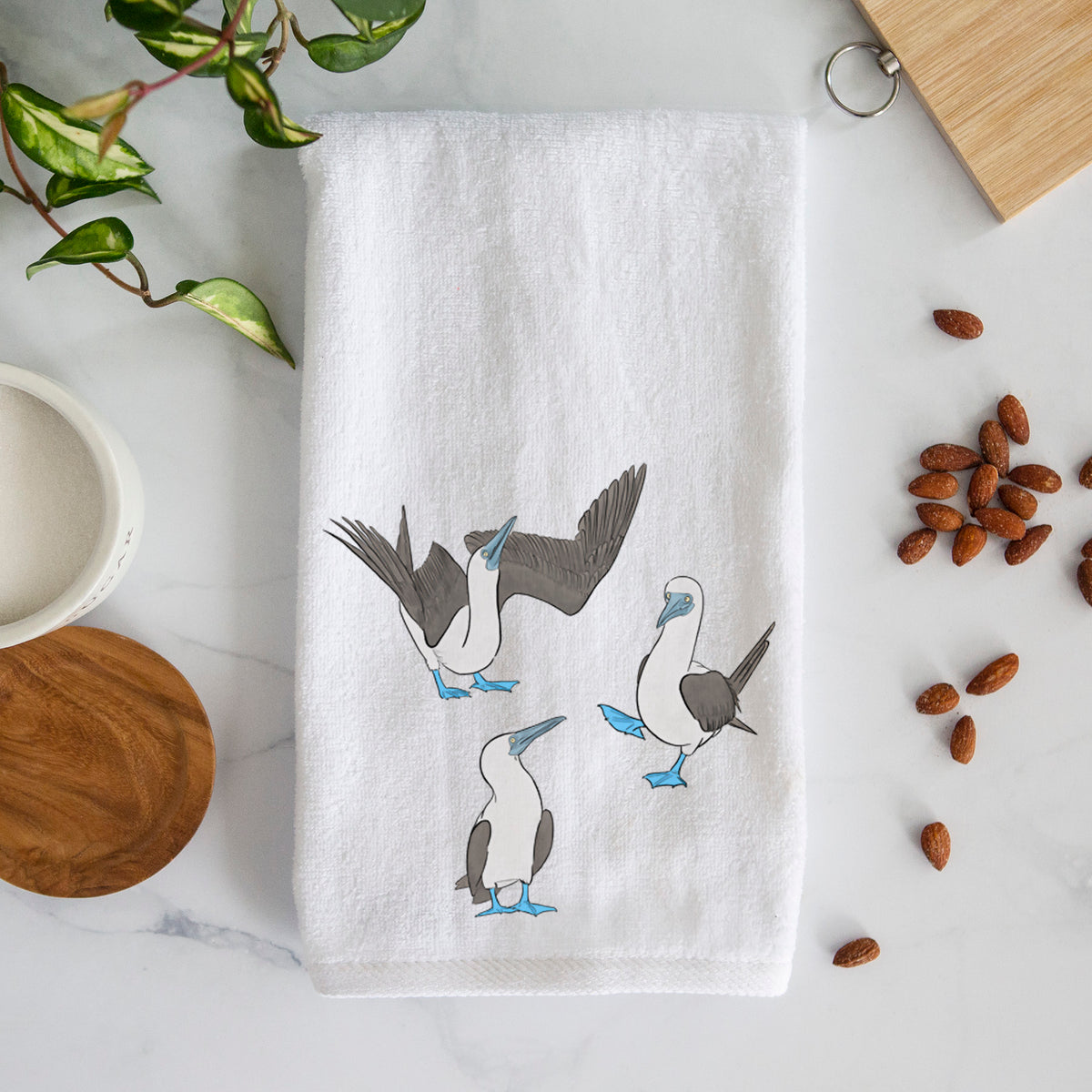 Blue-footed Booby Trio - Sula nebouxii - Premium Hand Towel