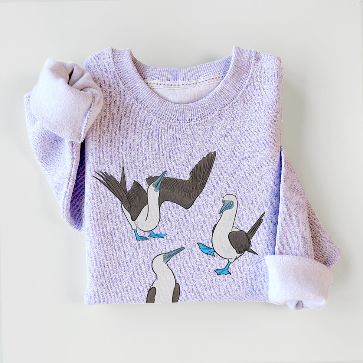 Blue-footed Booby Trio - Sula nebouxii - Knit Sweatshirt