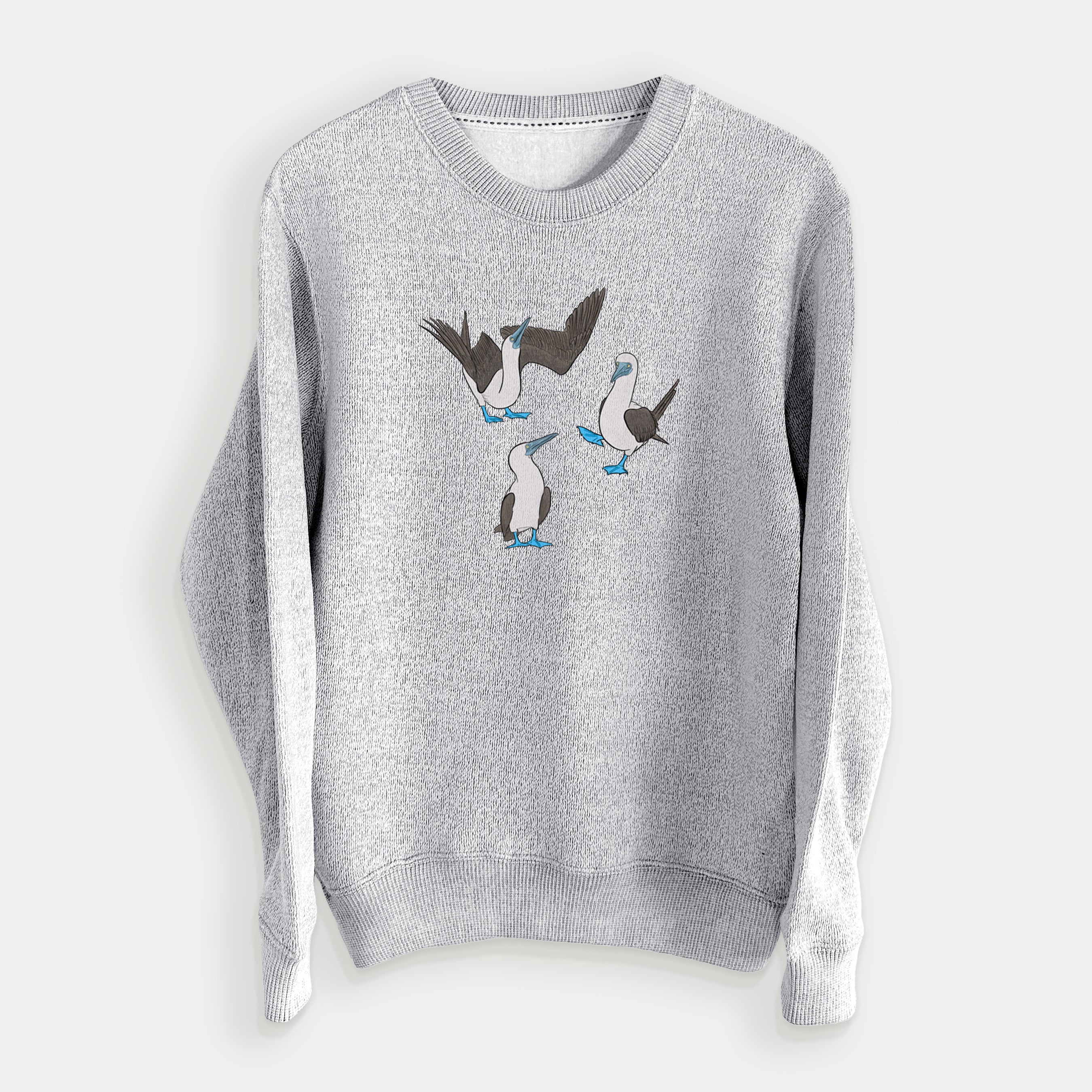 Blue-footed Booby Trio - Sula nebouxii - Knit Sweatshirt