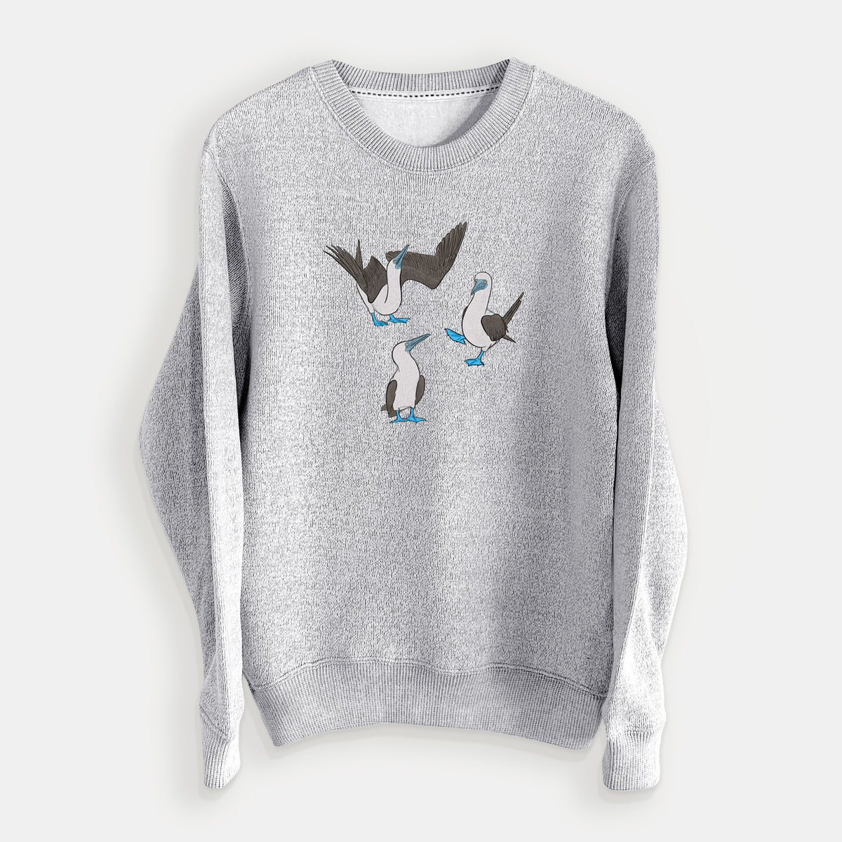 Blue-footed Booby Trio - Sula nebouxii - Knit Sweatshirt