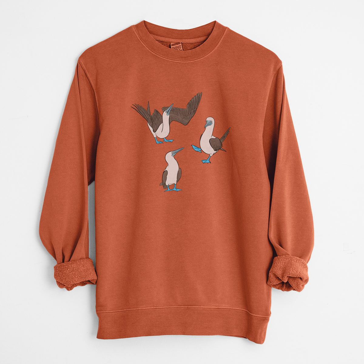 Blue-footed Booby Trio - Sula nebouxii - Unisex Pigment Dyed Crew Sweatshirt