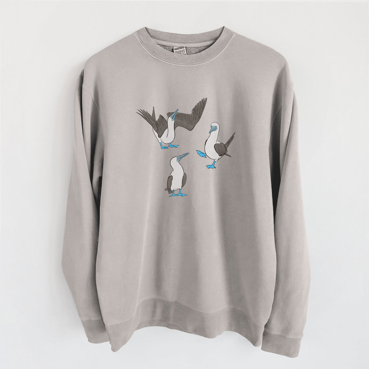 Blue-footed Booby Trio - Sula nebouxii - Unisex Pigment Dyed Crew Sweatshirt