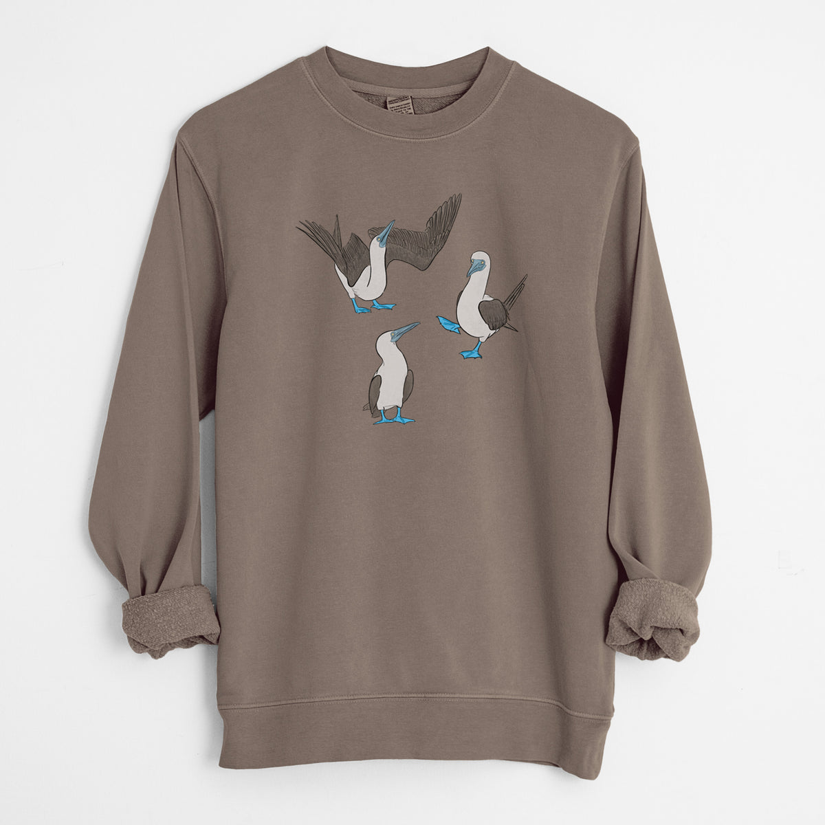 Blue-footed Booby Trio - Sula nebouxii - Unisex Pigment Dyed Crew Sweatshirt in Espresso